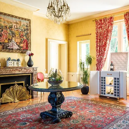 Chateau Meyre 酒店 阿维桑