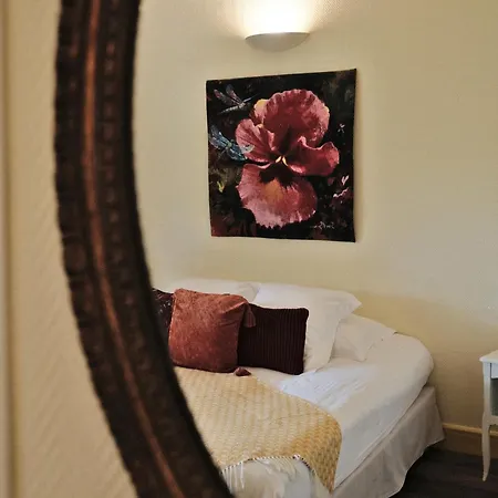 Chateau Meyre 4* 阿维桑