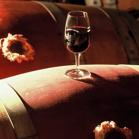 Chateau Meyre 阿维桑