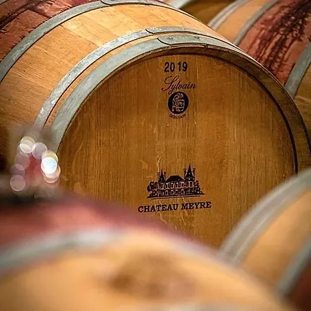 Chateau Meyre 酒店 阿维桑