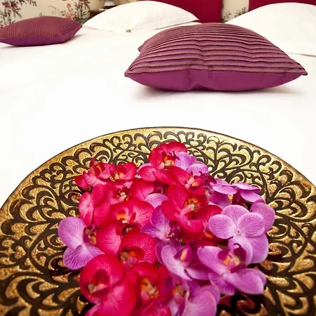 Chateau Meyre 4* 阿维桑