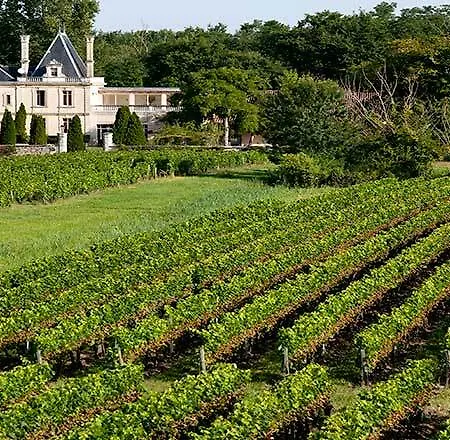 酒店 Chateau Meyre 4*