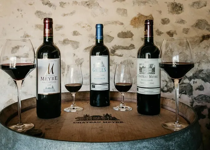 Hotel Chateau Meyre 4*