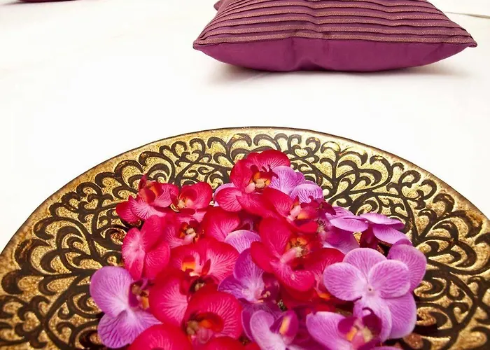 Chateau Meyre 4* Avensan