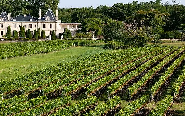 Hotel Chateau Meyre 4*